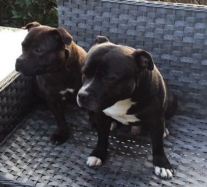 Jolie_Henk_samen3_zoom