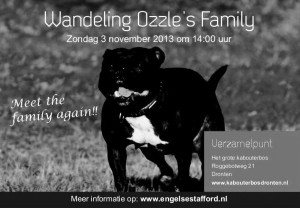 Wandeling Ozzles Family | Staffordshire Bull Terrier Kennel | Engelse Staffords