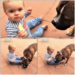 Hunky van Ozzles Family als nanny dog 